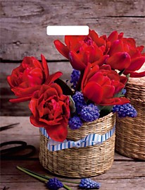 Вырубная ручка пакет 31х40см 60мкм глянец Элисон Артпласт 50/1000