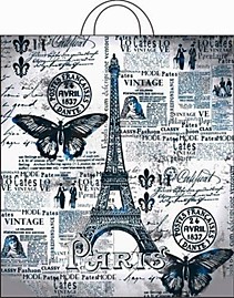 Петлевая ручка пакет ПНД 38х42+6см 40мкм  Парижский день Интерпак 25/500