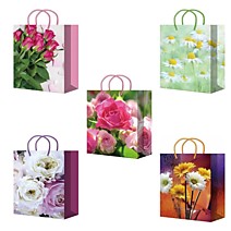 Пакет подарочный 18х23+10см ламинированный (M25 216-220) /10 Китай