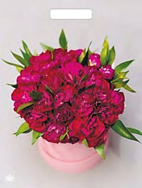 Вырубная ручка пакет 31х40+6см 90мкм Букет пионов Глянцевый Тико 50/500