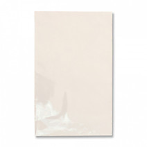 Пакет П/П 25х40см прозр/прозр 100шт/уп 