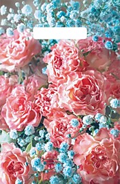 Вырубная неусиленная ручка пакет 20х30см 30мкм Джульетта Артпласт 100/3000