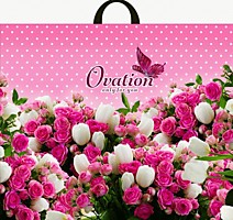 Петлевая ручка пакет 60х50+6см 70мкм Овация Интерпак 25/250 Россия